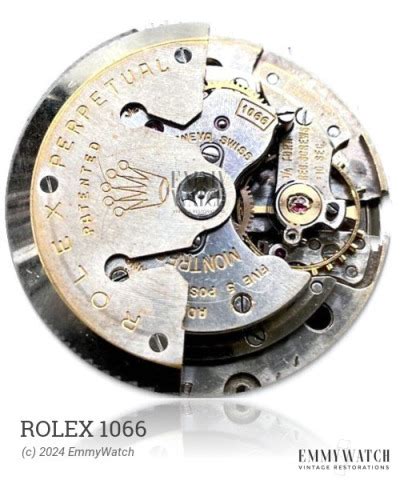 rolex 1066|Meer.